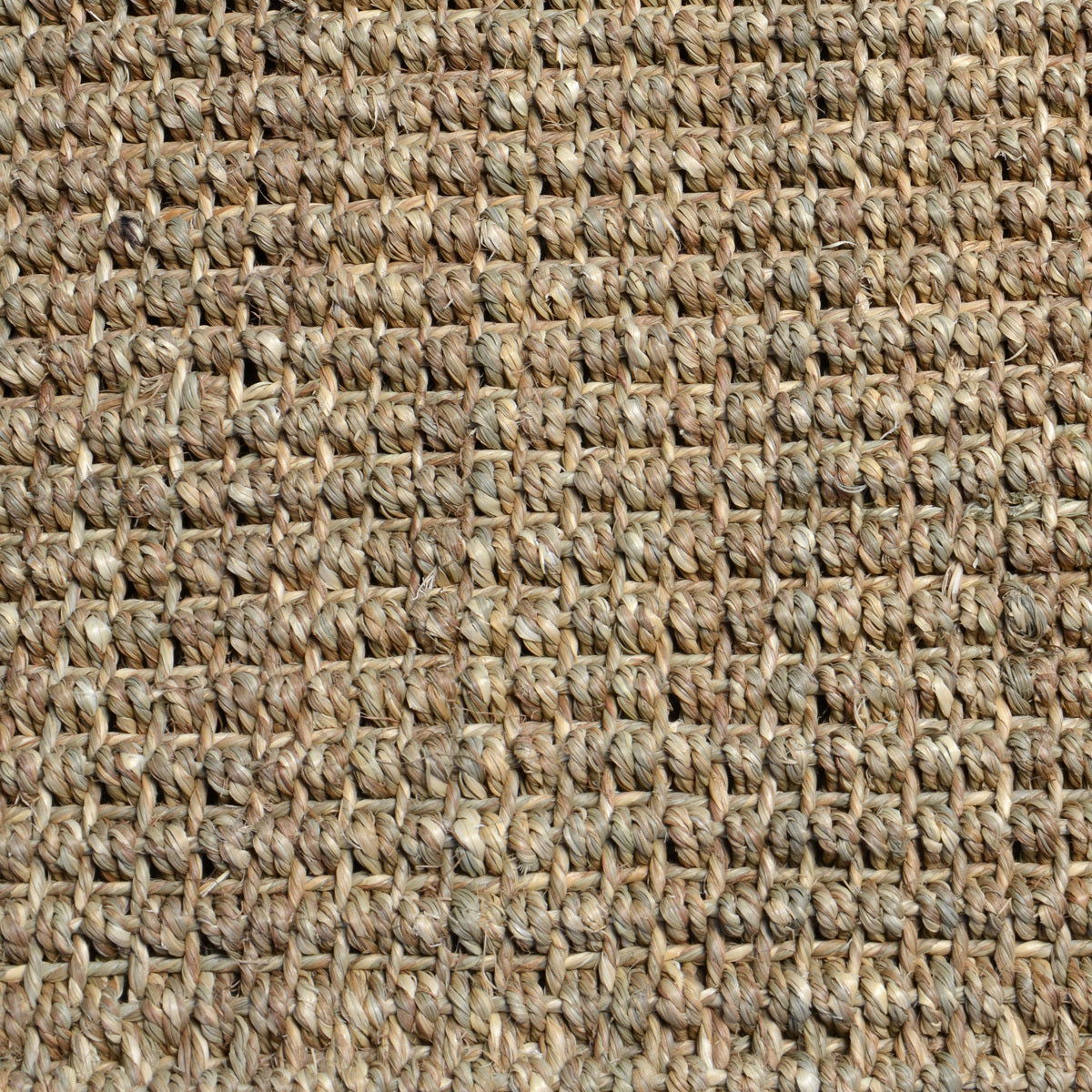 Seagrass - Rug