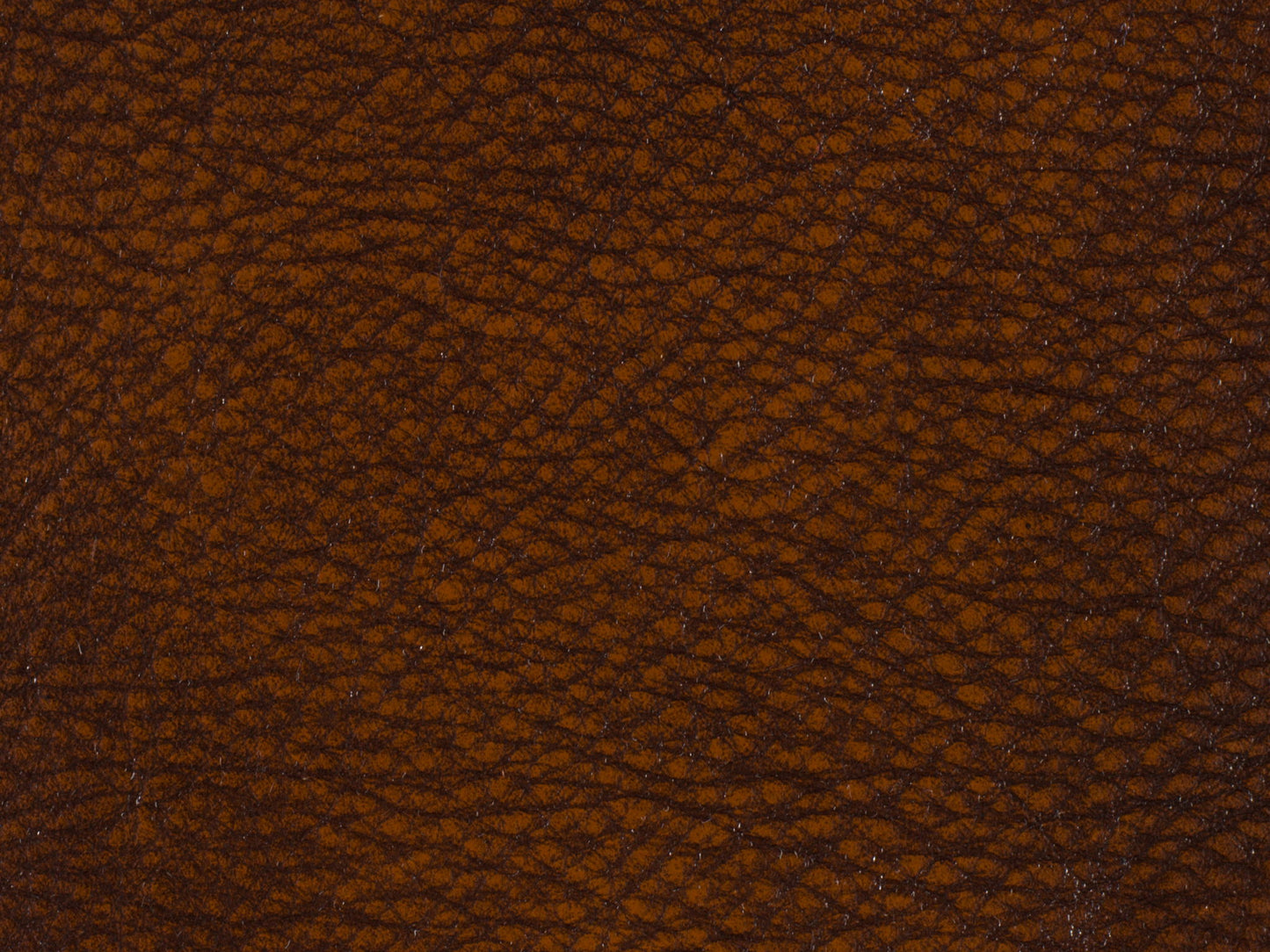 EC - Erin Executive Swivel Tilt Chair