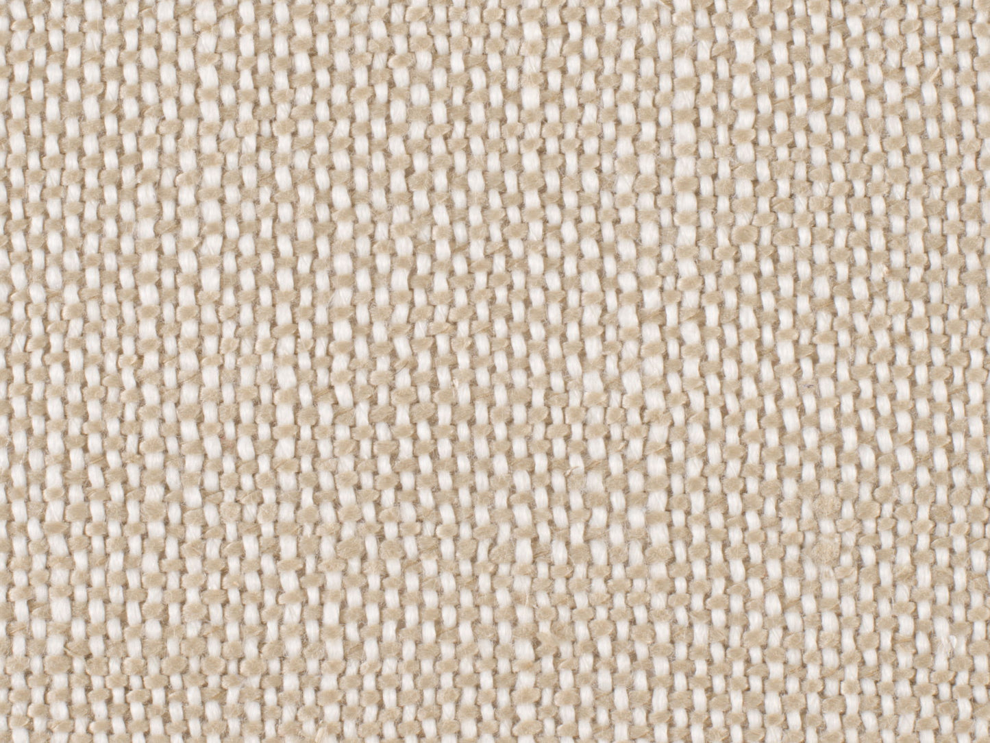 Archivist - Upholstered Side Chair