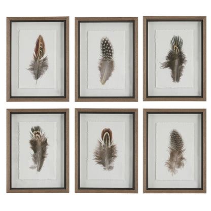 Birds Of A Feather - Framed Prints (Set of 6)