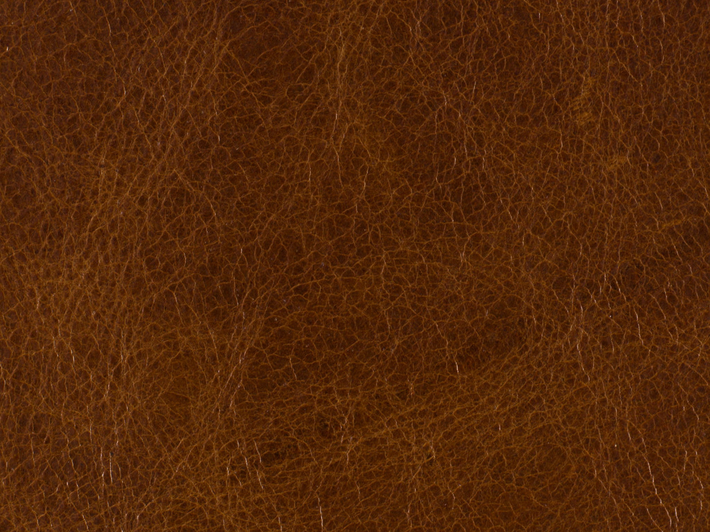 RC - Shasta Recliner