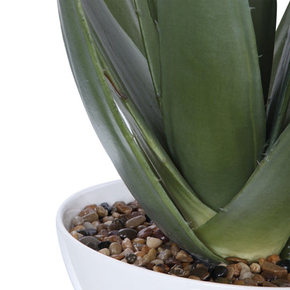 Evarado - Aloe Planter - White