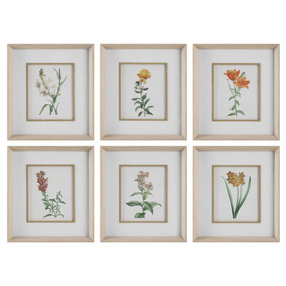 Classic Botanicals - Framed Prints (Set of 6) - Green