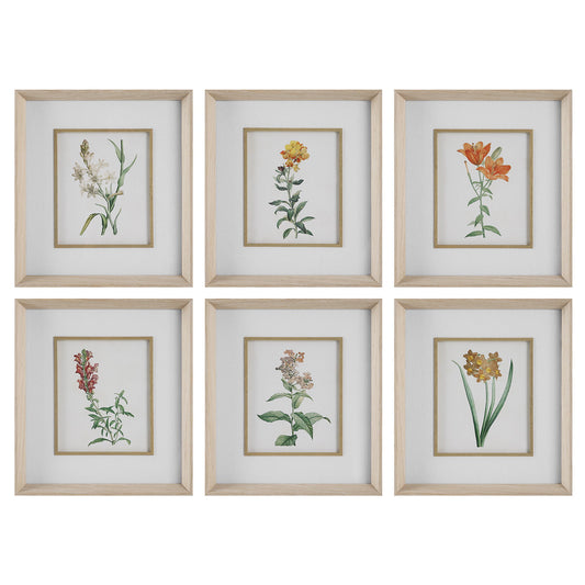 Classic Botanicals - Framed Prints (Set of 6) - Green