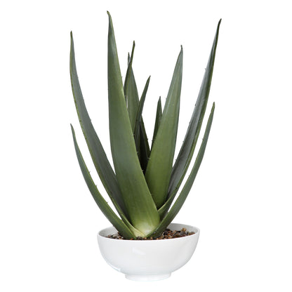 Evarado - Aloe Planter - White