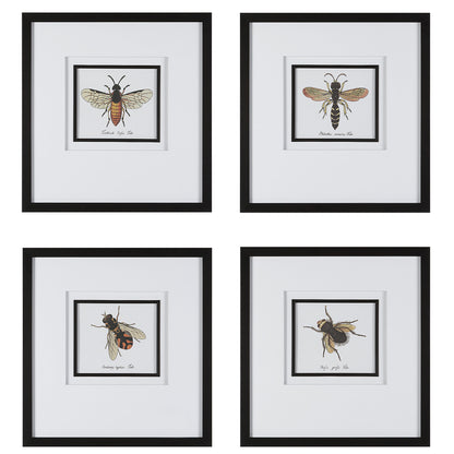 Anthophila - Framed Prints (Set of 4) - Black