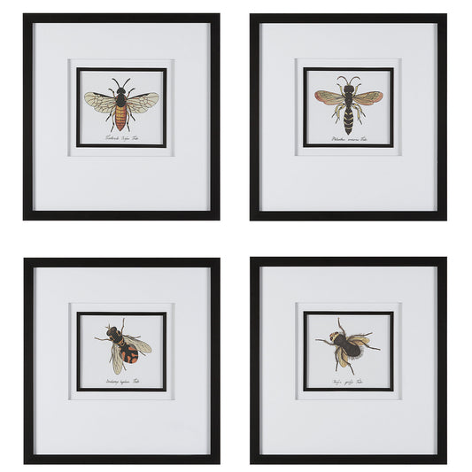 Anthophila - Framed Prints (Set of 4) - Black