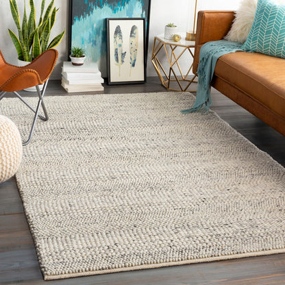 Clifton - Hand Woven 9 X 13 Rug - Gray