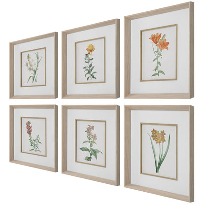 Classic Botanicals - Framed Prints (Set of 6) - Green