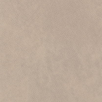 Aspen - Stationary Sofa