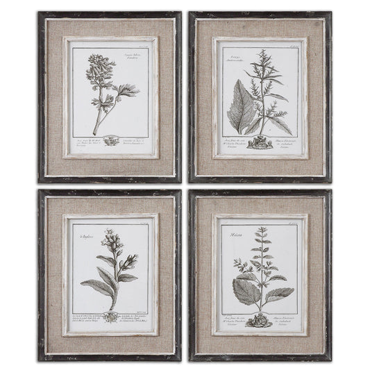 Casual Grey Study - Framed Art (Set of 4) - Beige