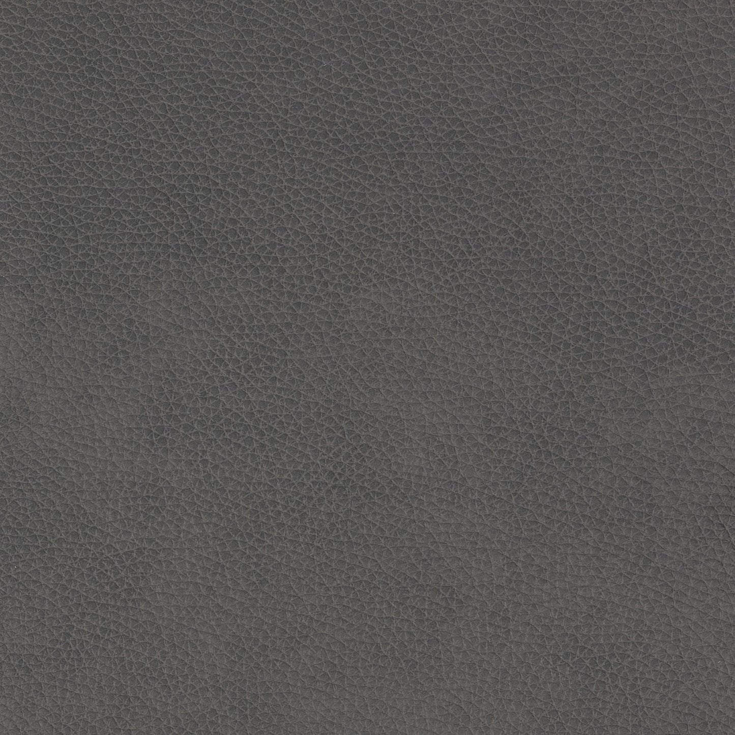 Cassiano - Slip Cover Sofa