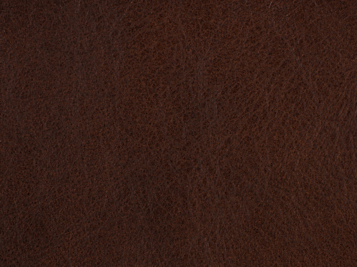 EC - Sasha Executive Swivel Tilt Chair