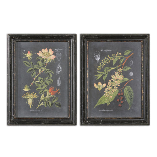 Midnight Botanicals - Wall Art (Set of 2) - Black